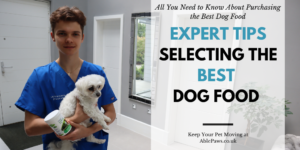 Read more about the article Choosing the Best Pet Food for Your Furry Friend