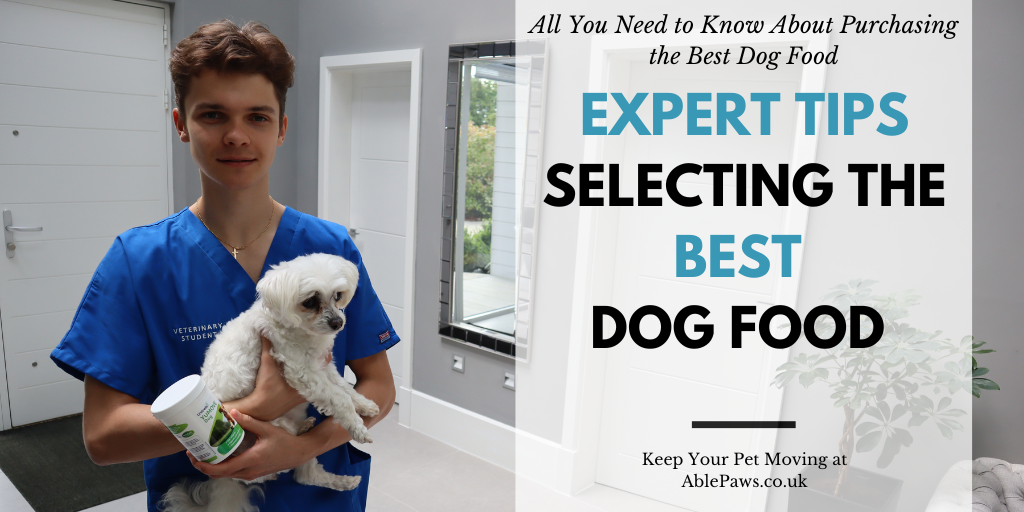 You are currently viewing Choosing the Best Pet Food for Your Furry Friend