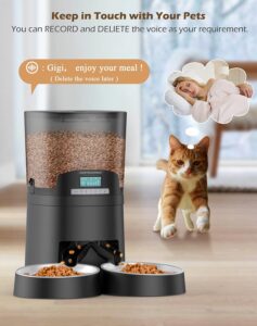 Read more about the article HoneyGuaridan Automatic Cat Feeder Review