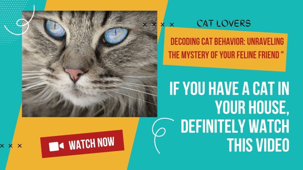Unraveling the Mystery: Exploring Strange Cat Behavior
