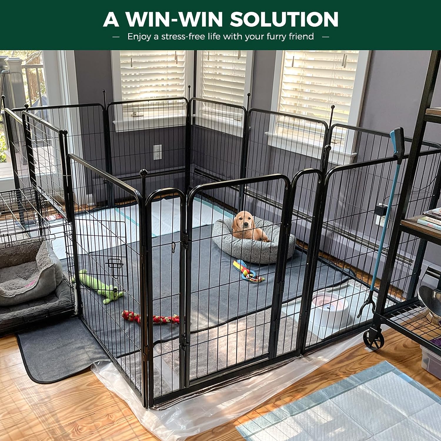 Read more about the article FXW Rollick Dog Playpen Review