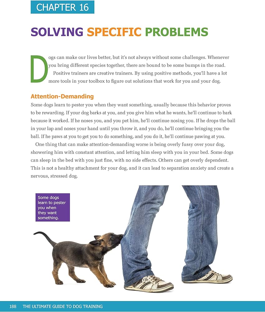 Read more about the article Puppy Training Guide Review