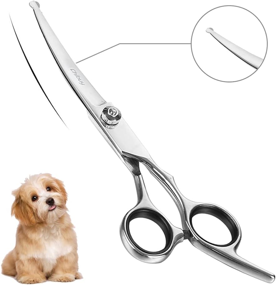 Read more about the article Chibuy Curved Dog Grooming Scissors Review