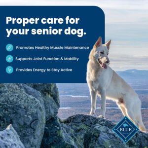 Read more about the article Blue Buffalo Life Protection Formula Natural Senior Dog Food Bundle Review