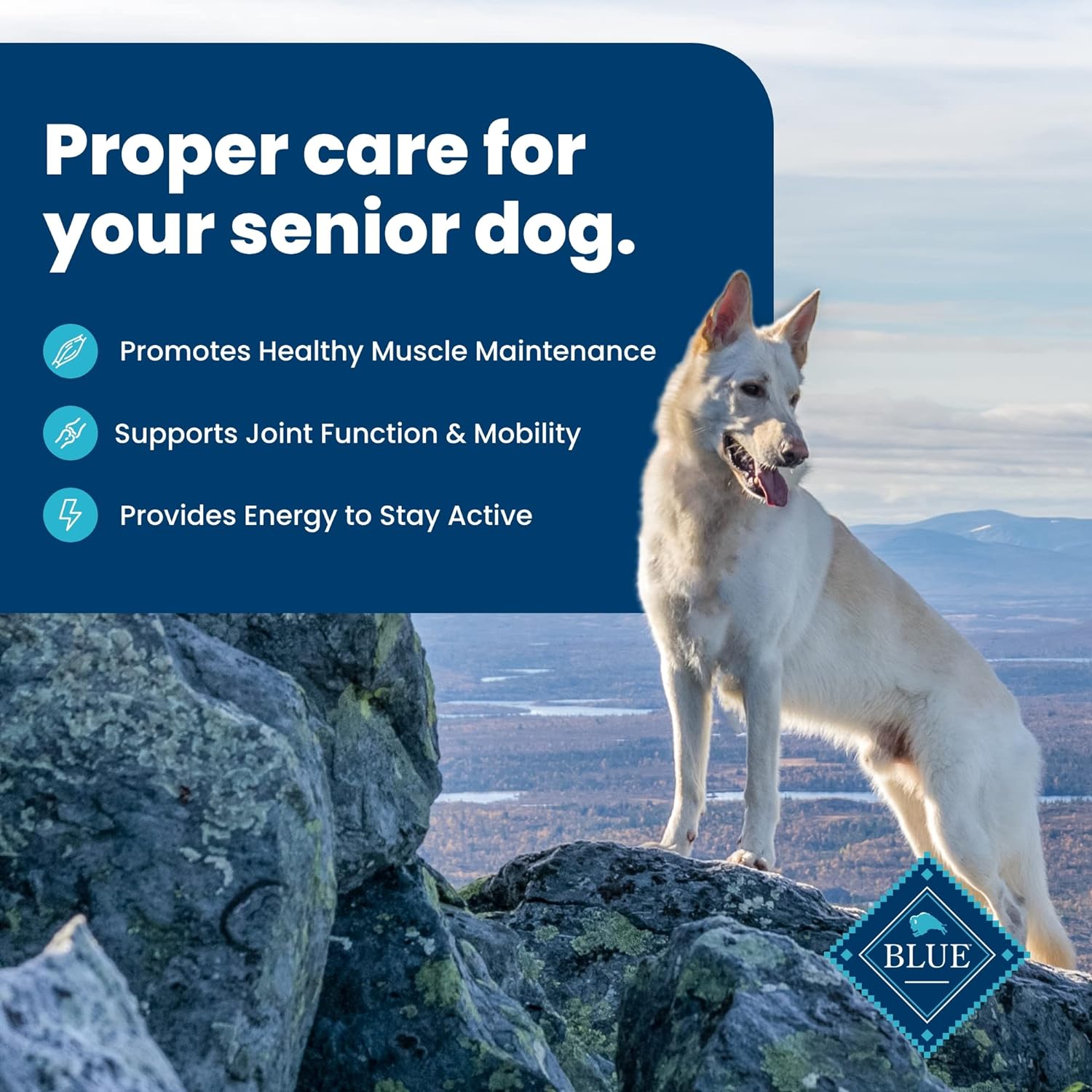 You are currently viewing Blue Buffalo Life Protection Formula Natural Senior Dog Food Bundle Review